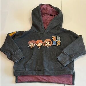 Harry Potter -‎ 18m, gray/maroon/yellow hoodie